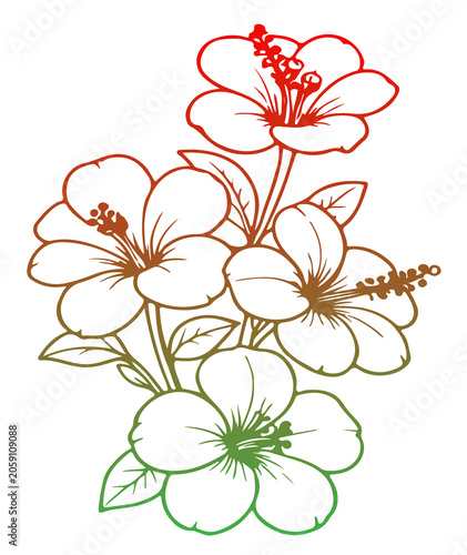 abstract floral background