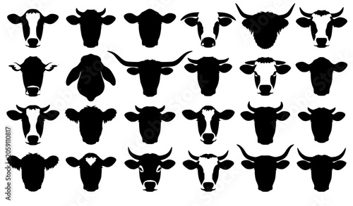 Cow Head Collection Vector Set with Dairy and Beef Cattle Breed Face Illustrations