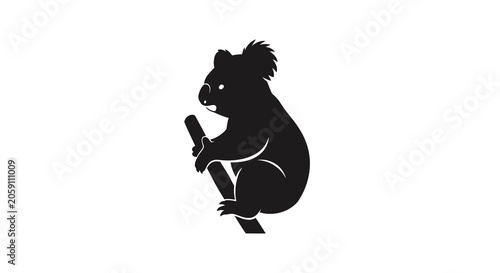 Foto Koala Clinging To Branch Black Silhouette marsupial