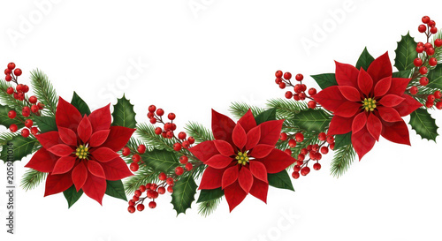 Christmas garland with poinsettia flowers, holly leaves and red berries isolated on transparent background