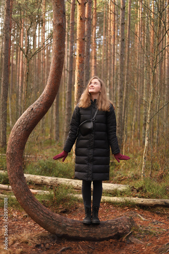 Fairytale atmosphere: a walk through a mysterious coniferous forest in autumn