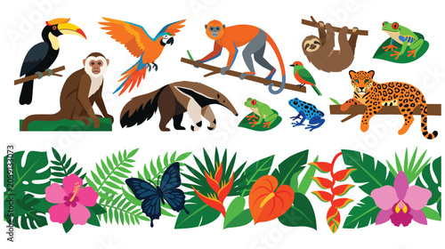 Photography Set of wild animals and insects in the rainforest area.