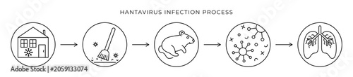 Foto Hantavirus infection process, infographics black line vector icons