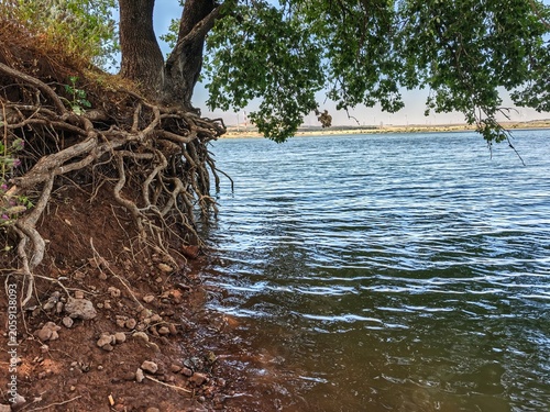 Konstfotografi On the shore of the Bental reservoir