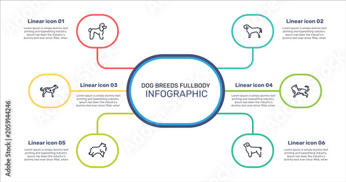 Photos dog breeds fullbody outline icon set featuring poodle, english mastiff, toyger cat, sheltie icons