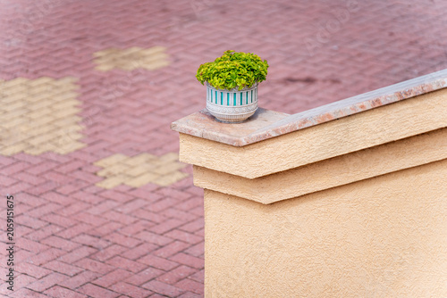 Simple Growth. Yard Decoration.