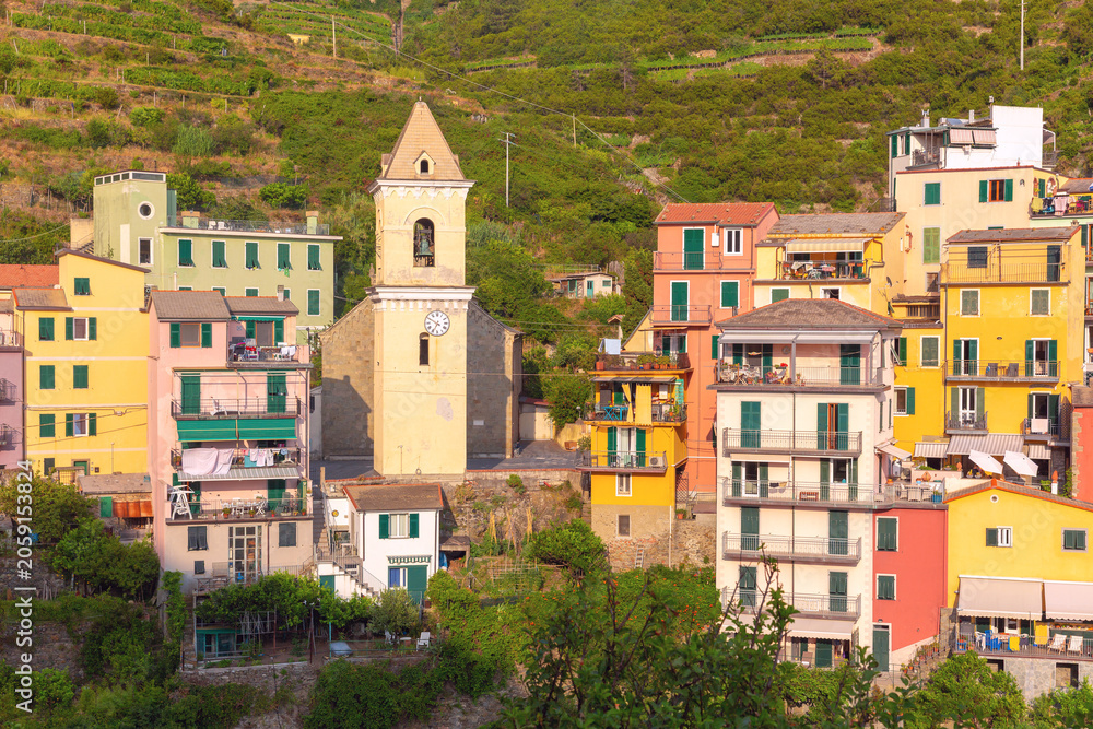 Obraz premium Colorful residential buildings and a historic bell tower on the hillside of Manarola, Cinque Terre, Italy.
