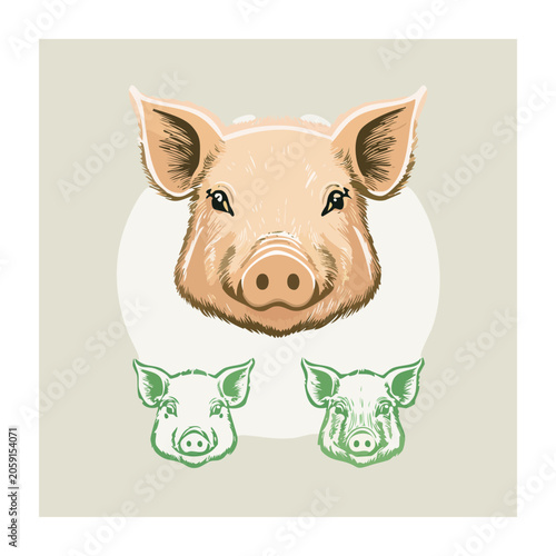 Flat Design Illustration of a Pig Head with Green Outlines