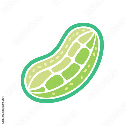 Stylized illustration of a halved peanut