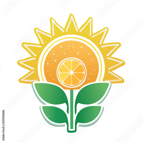 Sunflower with Orange Slice Flat Design Illustration