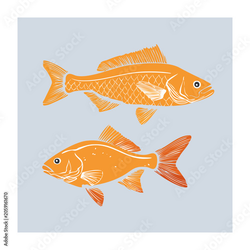 Two orange fish illustration on light blue background
