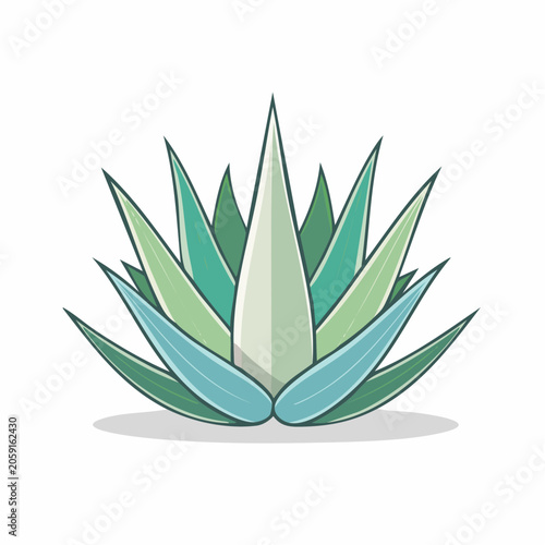 Stylized Agave Plant Illustration