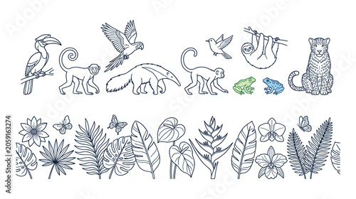 Bild auf Leinwand Jungle animals and tropical plants collection for nature theme.