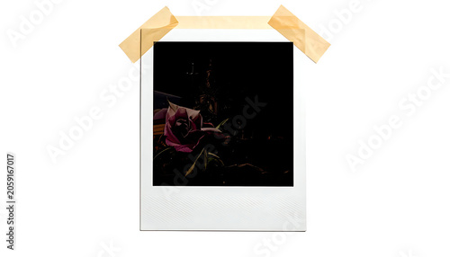 Isolated polaroid instant photo frame taped with masking tape featuring dark floral aesthetic and golden sparkles
