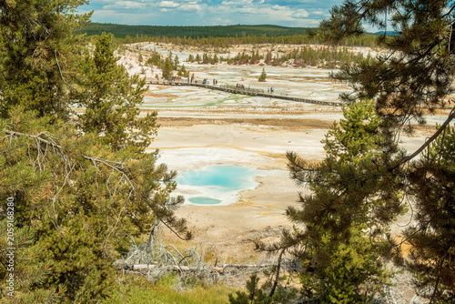 Thermal spring basin and boardwalk framed by pine trees in a geothermal landscape