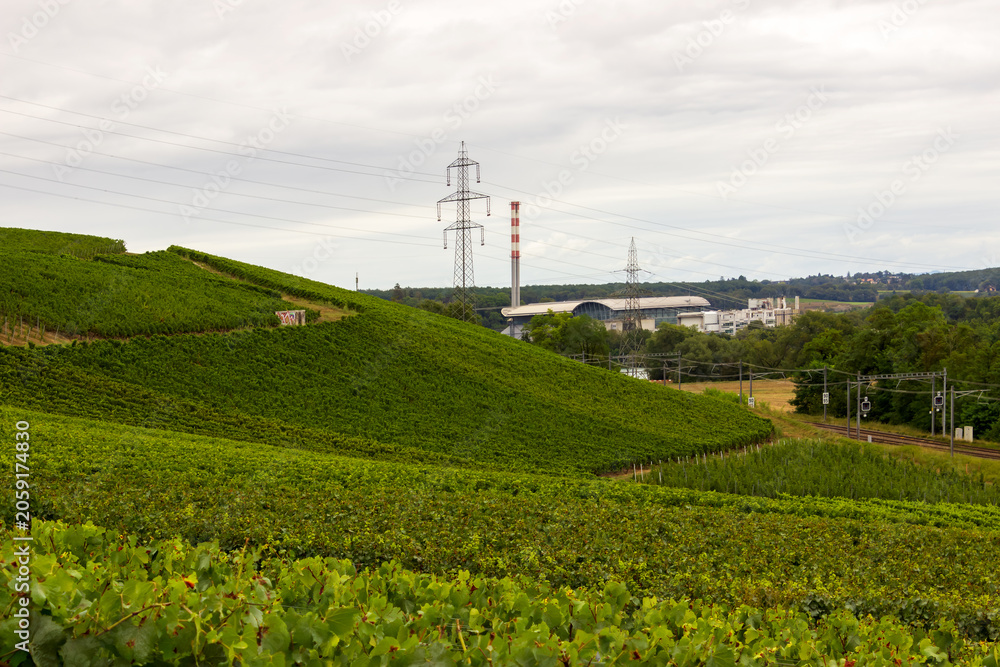 Fototapeta premium Vineyards near Russin with waste to energy plant in the distance