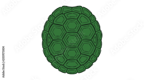 Принти на полотні Green Turtle Shell Pattern Isolated on White Background