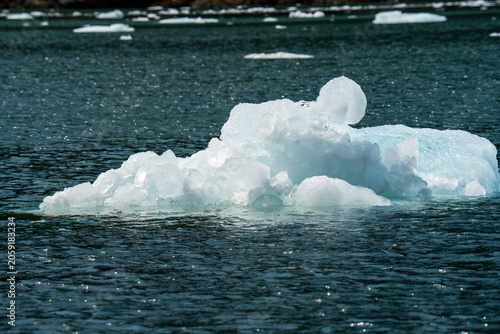 Floating Iceberg in Alaska II