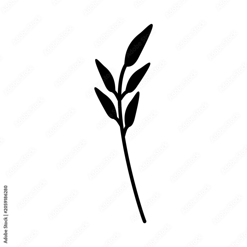 Fototapeta premium branch with leaves