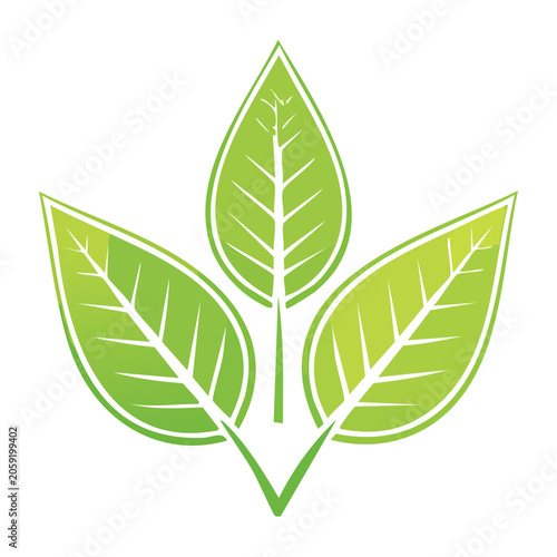 Three Green Leaves Vector Icon