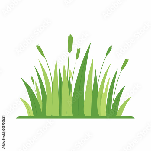 Green Grass and Cattails Illustration