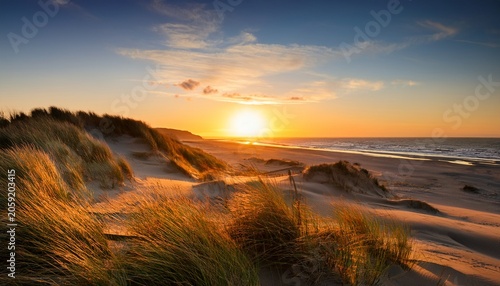 Golden Sunset Over Serene Beach Dunes
