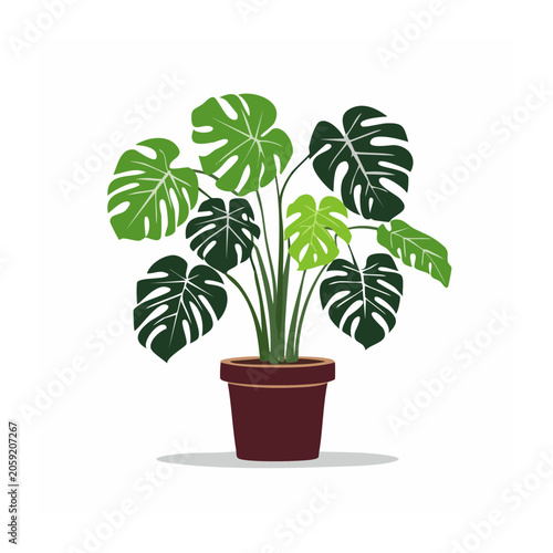 Monstera Plant in Brown Pot Flat Illustration