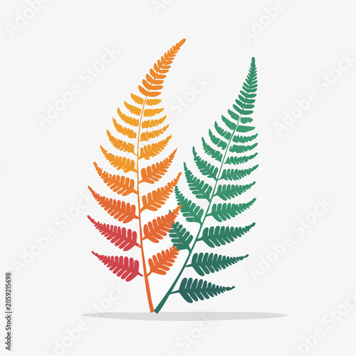 Two Fern Fronds with Gradient Colors