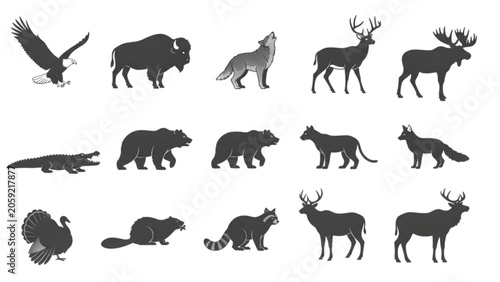 Photography wild animals collection