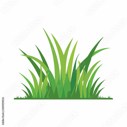 Green Grass Clump Illustration
