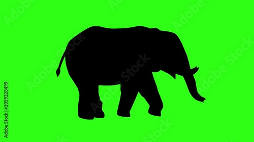 animated sillhouettee of elephant movement isolated green