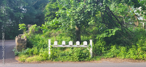 Mailboxes in a Rural Setting