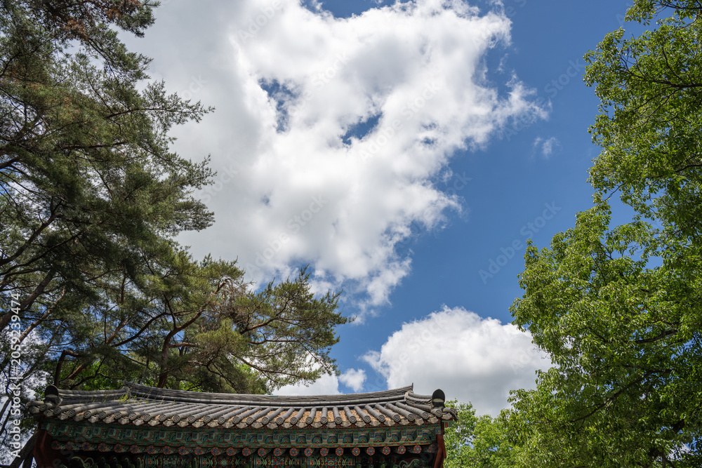 Fototapeta premium Traditional Korean temple roof with decorative dancheong patterns under a blue sky and green trees.
