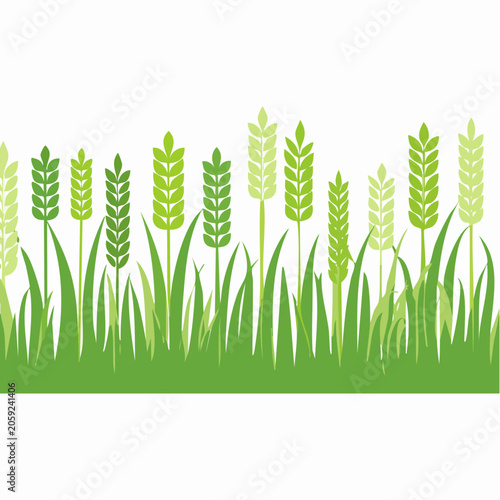 Green Wheat Field Illustration
