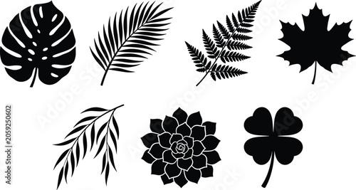 Collection of various tropical and botanical plant leaf silhouettes for nature design and floral art