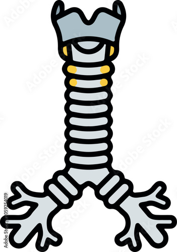 Vászonkép Human Trachea and Bronchi Respiratory System Diagram Icon