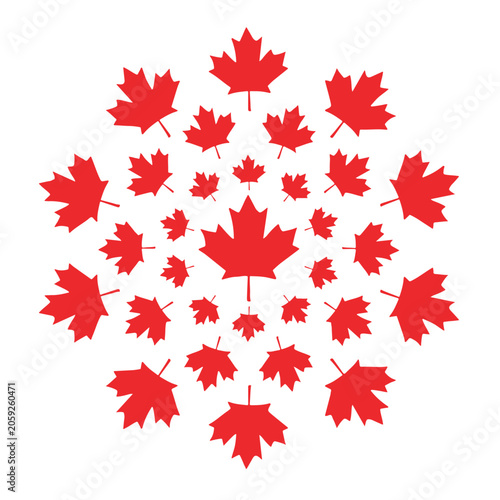 Maple leaves encircling a single maple leaf. The leaf is the symbol on the Canadian flag. Transparent background.