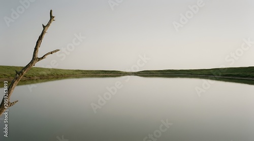 A serene landscape featuring a calm, still pond surrounded by grassy hills under a soft, overcast sky with a dead tree