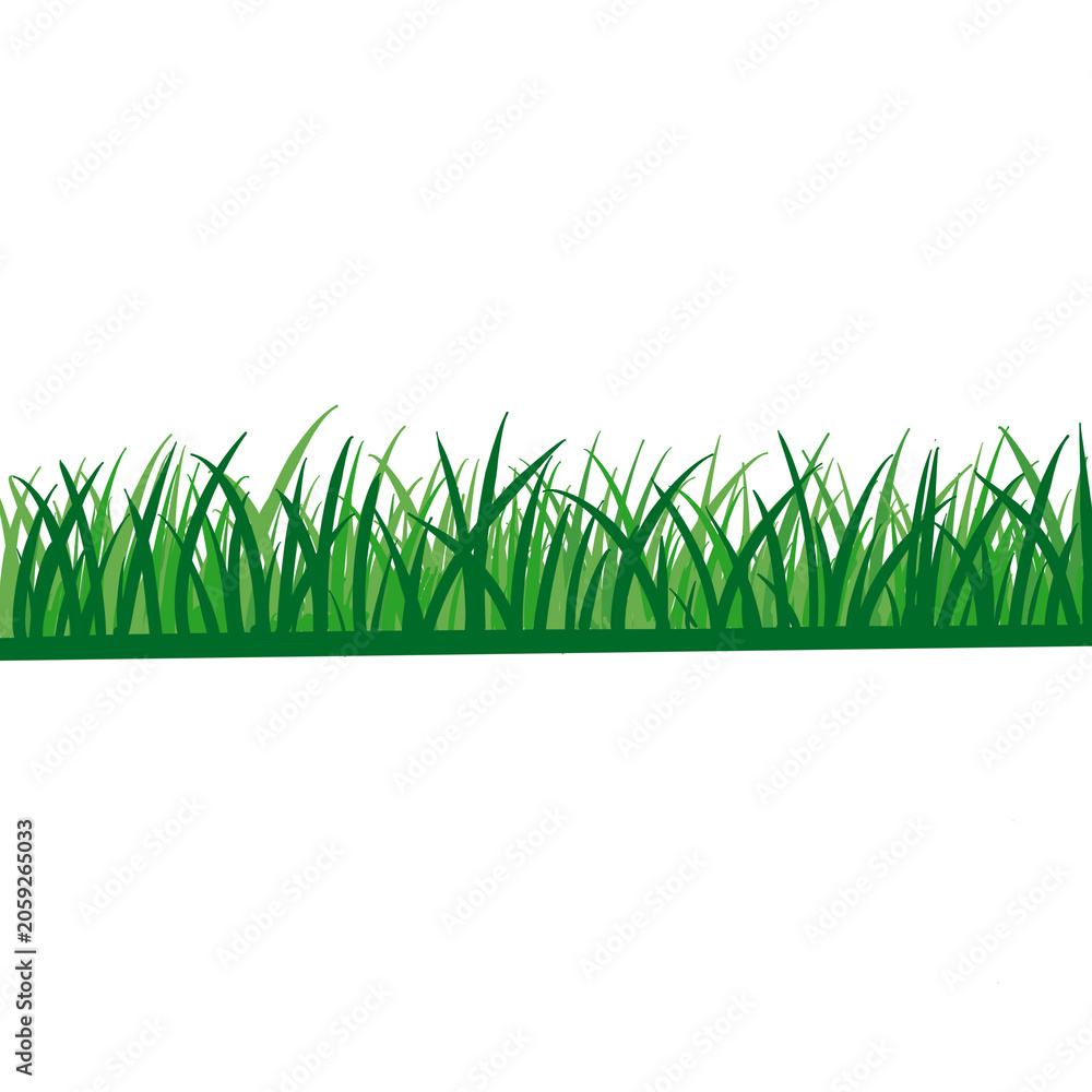 Fototapeta premium Green Grass Border Vector Illustration