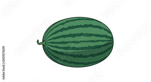 Green Striped Oval Watermelon Fruit Vector Illustration Isolated on White Healthy Organic Snack Graphic Element