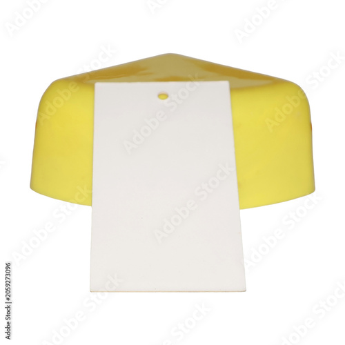 Yellow Cheese Wedge with Blank Label for Text During Presentation