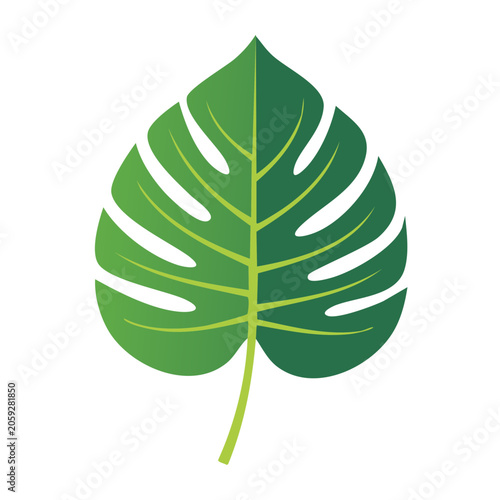 Monstera Leaf Icon on Transparent Background