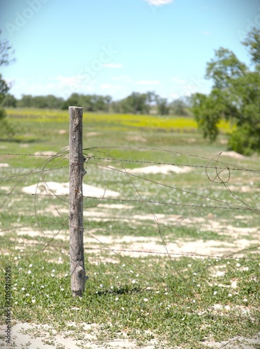 Tangled Barbed-Wire Around an Old Wooden Fence Post