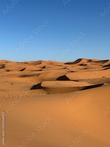 Golden Sand Dunes in the Sahara Desert 