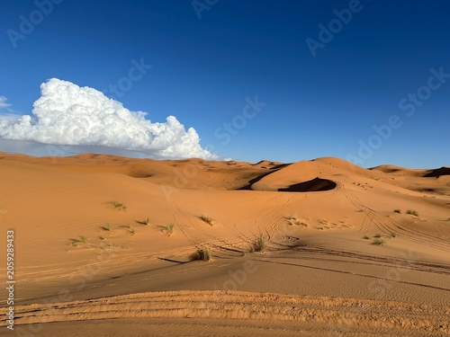 Golden Sand Dunes in the Sahara Desert
