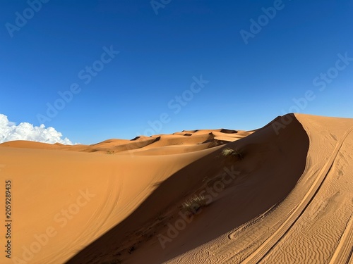 Golden Sand Dunes in the Sahara Desert