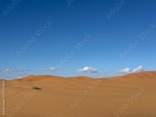Golden Sand Dunes in the Sahara Desert