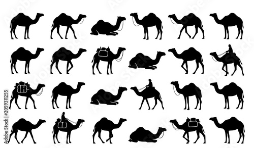 Fotografie Black Camel Silhouette Collection with Desert Animal Poses Vector Illustration S