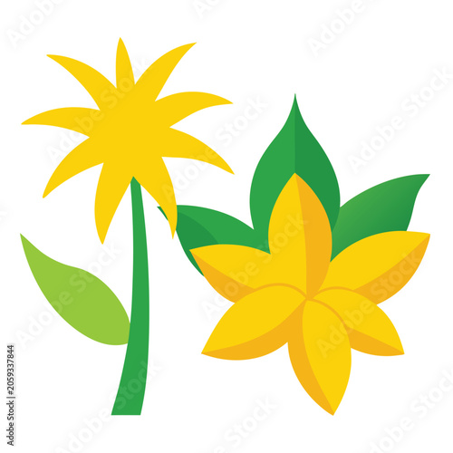 yellow flower isolated on white background