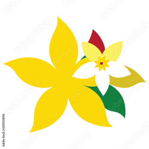 orange flower isolated on white